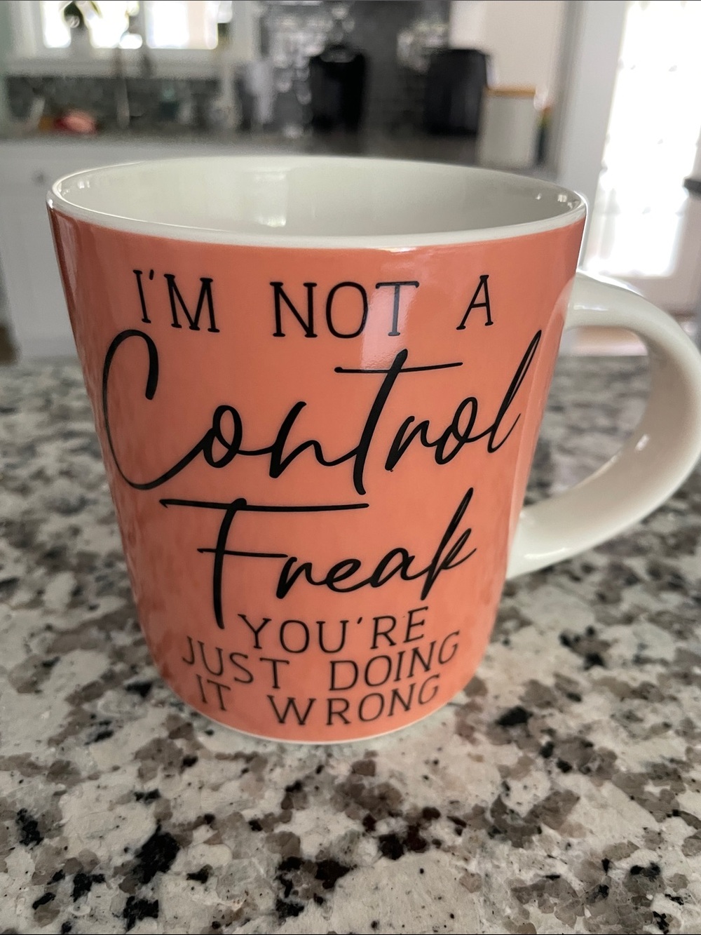 Pfaltzgraff Novelty Mug Large 18 oz “control freak”